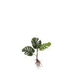 Monstera Kunstplant – L12 x B21 x H54 cm – Groen