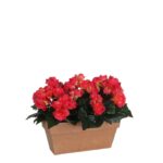 Begonia Kunstplant in Balkonbak Slate – L29 x B13 x H25 cm – Donkerroze