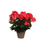 Begonia Kunstplant in Bloempot Stan – H30 x Ø25 cm – Donkerroze