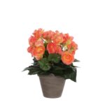 Begonia Kunstplant in Bloempot Stan – H30 x Ø25 cm – Zalmroze