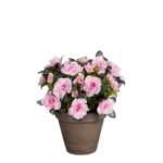 Azalea Kunstplant in Bloempot Stan – H31 x Ø26 cm – Roze