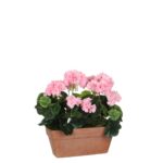 Geranium Kunstplant in Balkonbak – L29 x B13 x H40 cm – Roze