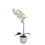 Phalaenopsis Kunstplant in Bloempot Tusca – H60 x Ø16 cm – Wit