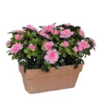 Azalea Kunstplant in Balkonbak Slate – L29 x B13 x H27 cm – Roze