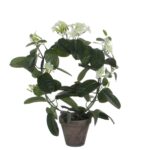 Stephanotis Kunstplant in Bloempot Stan – H50 x Ø40 cm – Wit