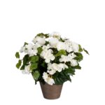 Begonia Kunstplant in Bloempot Stan – H37 x Ø36 cm – Wit