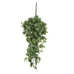 Scindapsus Kunst Hangplant – L15 x B30 x H80 cm – Groen