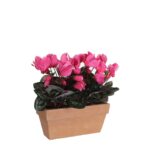 Cyclaam Kunstplant in Balkonbak Slate – L29 x B13 x H33 cm – Roze