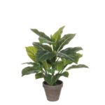 Evergreen Kunstplant in Bloempot Stan – H49 x Ø40 cm – Groen