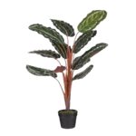 Calathea Roseopicta Kunstplant – H90 x Ø60 cm – Groen