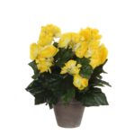 Begonia Kunstplant in Bloempot Stan – H30 x Ø25 cm – Geel