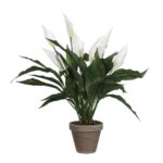 Spathiphyllum Kunstplant in Bloempot Stan – H50 x Ø40 cm – Wit