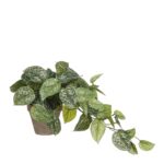 Scindapsus Kunstplant in Bloempot Stan – H44 x Ø17 cm – Groen