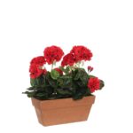 Geranium Kunstplant in Balkonbak – L29 x B13 x H40 cm – Rood