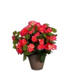 Begonia Kunstplant in Bloempot Stan – H37 x Ø36 cm – Donkerroze