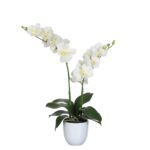 Phalaenopsis Kunstplant in Bloempot Tusca – H66 x Ø38 cm – Crème